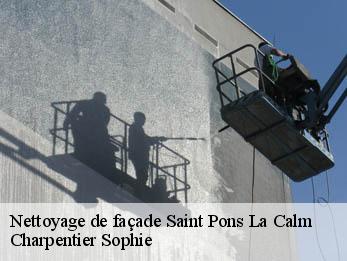 Nettoyage de façade  30330