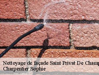 Nettoyage de façade  saint-privat-de-champclos-30430 Charpentier Sophie