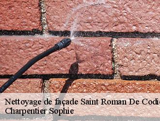 Nettoyage de façade saint-roman-de-codieres-30440 Charpentier Sophie