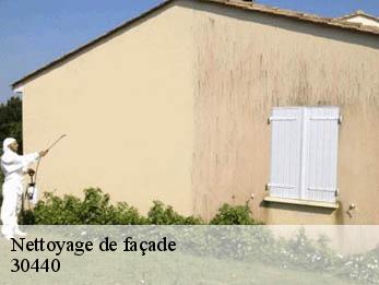 Nettoyage de façade 30440