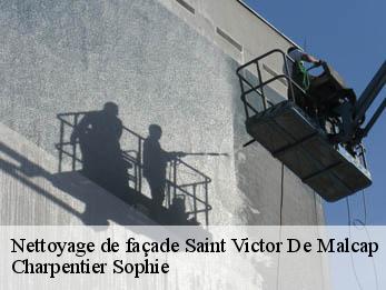 Nettoyage de façade 30500