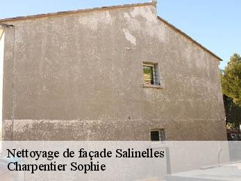 Nettoyage de façade