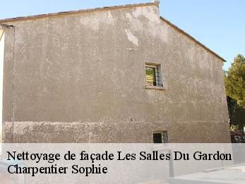 Nettoyage de façade