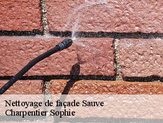 Nettoyage de façade  sauve-30610 Charpentier Sophie