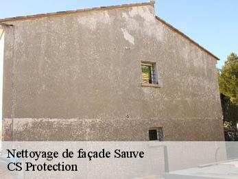 Nettoyage de façade