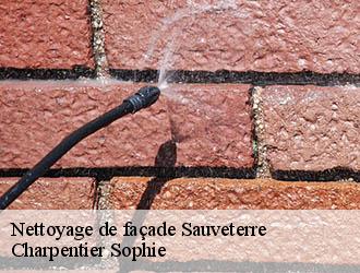 Nettoyage de façade  sauveterre-30150 Charpentier Sophie