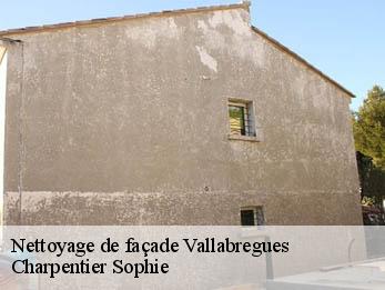 Nettoyage de façade