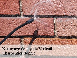 Nettoyage de façade  verfeuil-30630 Charpentier Sophie