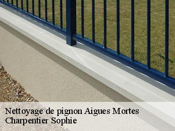 Nettoyage de pignon 30220