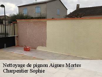 Nettoyage de pignon