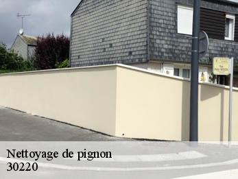 Nettoyage de pignon 30220