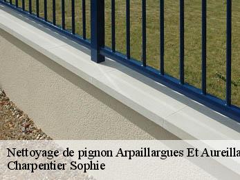 Nettoyage de pignon  30700