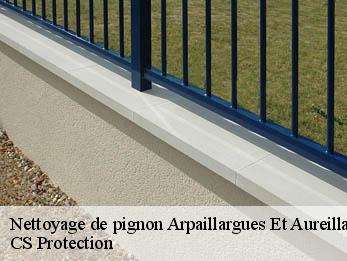 Nettoyage de pignon 30700