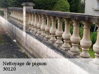 Nettoyage de pignon 30120
