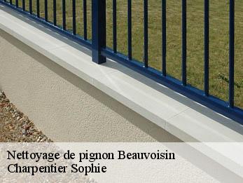 Nettoyage de pignon  30640