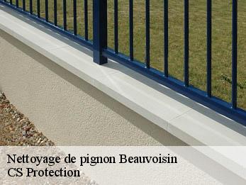 Nettoyage de pignon 30640