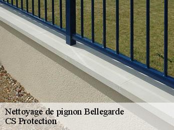 Nettoyage de pignon 30127