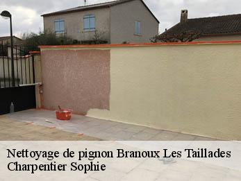 Nettoyage de pignon