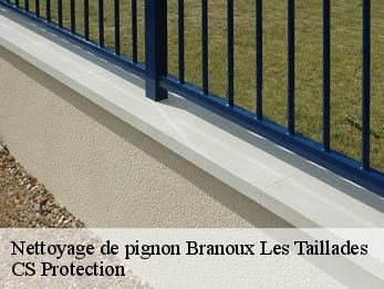 Nettoyage de pignon  30110