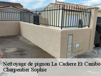 Nettoyage de pignon  la-cadiere-et-cambo-30170 Charpentier Sophie