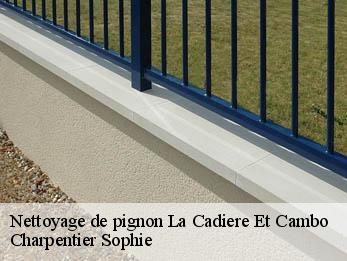 Nettoyage de pignon  30170