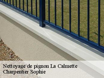 Nettoyage de pignon  30190