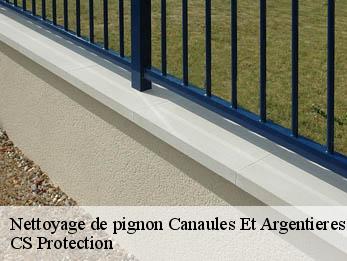 Nettoyage de pignon 30350