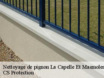 Nettoyage de pignon 30700