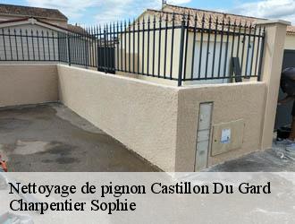 Nettoyage de pignon castillon-du-gard-30210 Charpentier Sophie