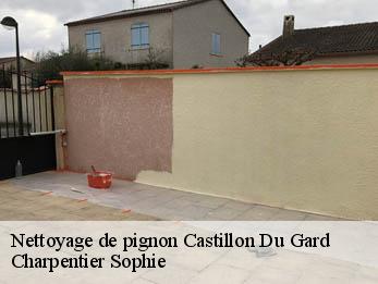 Nettoyage de pignon
