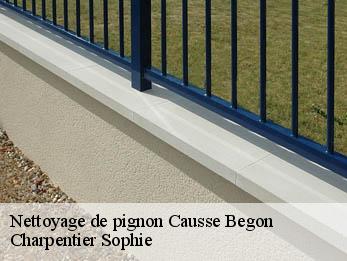 Nettoyage de pignon  30750