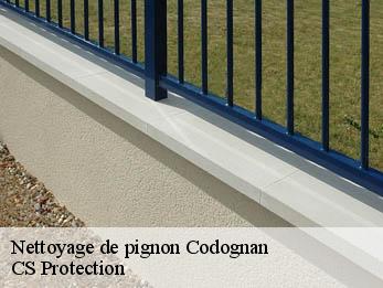 Nettoyage de pignon 30920