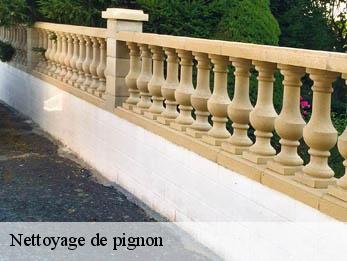 Nettoyage de pignon