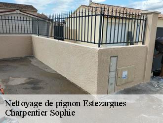 Nettoyage de pignon  estezargues-30390 Charpentier Sophie