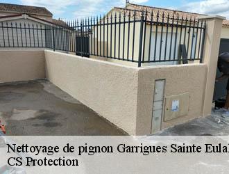 Nettoyage de pignon garrigues-sainte-eulalie-30190 CS Protection
