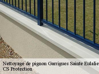 Nettoyage de pignon 30190