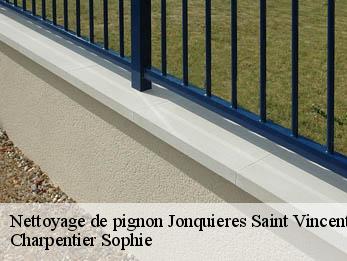 Nettoyage de pignon 30300