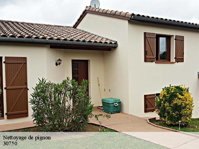 Nettoyage de pignon 30750
