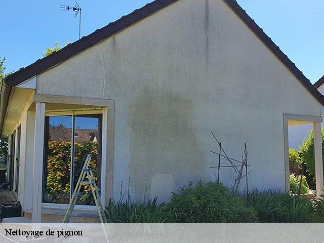 Nettoyage de pignon 30110