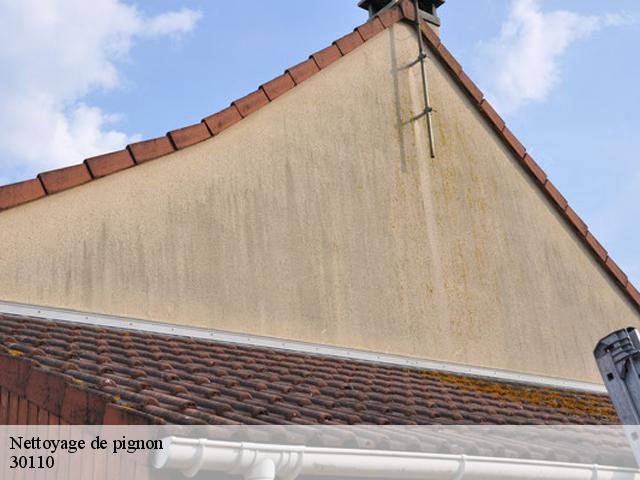 Nettoyage de pignon 30110
