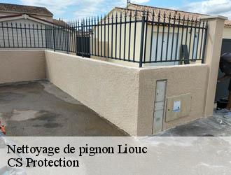 Nettoyage de pignon liouc-30260 CS Protection