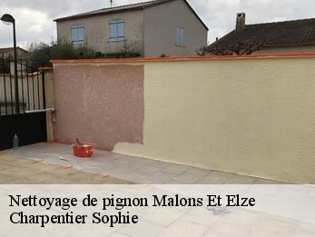 Nettoyage de pignon
