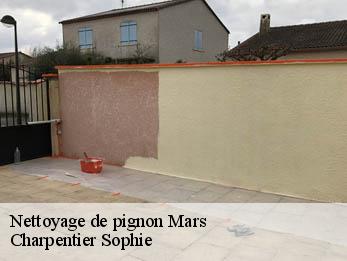 Nettoyage de pignon