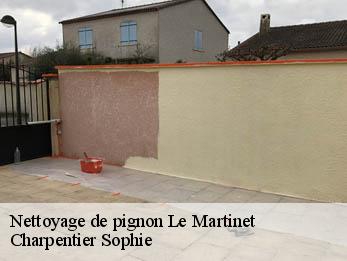 Nettoyage de pignon