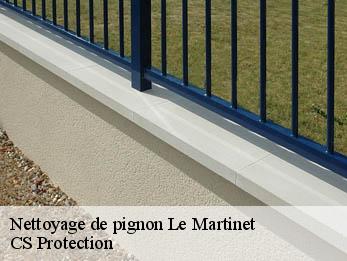 Nettoyage de pignon  30960