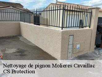 Nettoyage de pignon molieres-cavaillac-30120 CS Protection