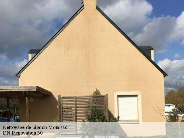 Nettoyage de pignon 30190
