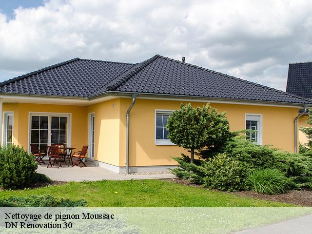 Nettoyage de pignon moussac-30190 DN Rénovation 30
