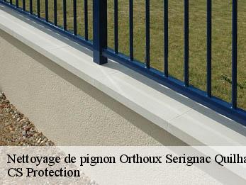 Nettoyage de pignon 30260