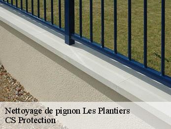 Nettoyage de pignon 30122